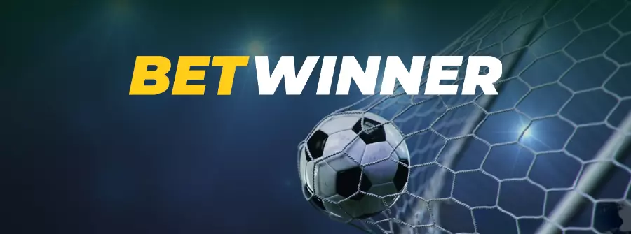 BetWinner Gizlilik Politikası