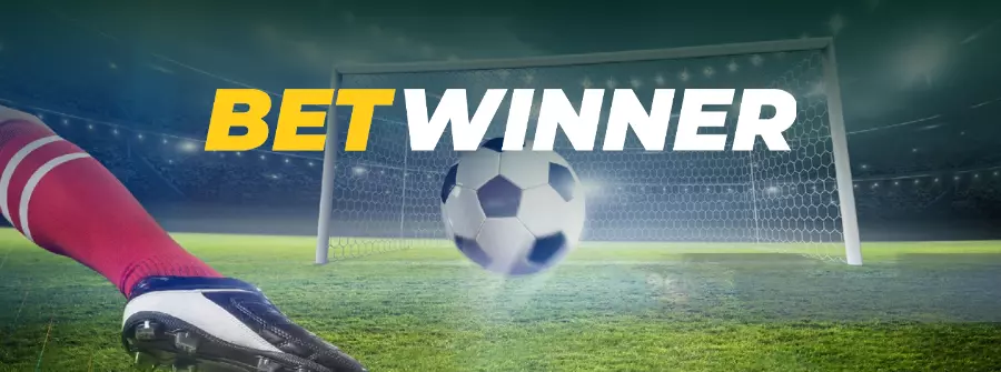 BetWinner Gizlilik Politikası