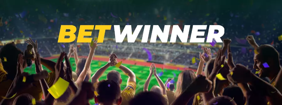 BetWinner Gizlilik Politikası